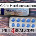Grüne Hornissenlaschen 39